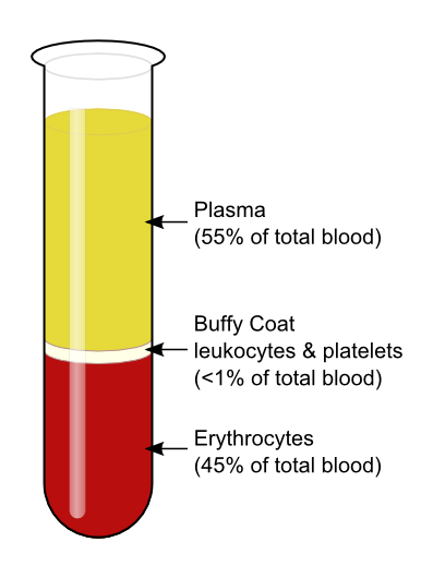 Blood after separation by centrifuge (KnuteKnudsen at English Wikipedia)